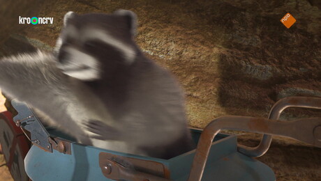 De voortvluchtige Fluffy